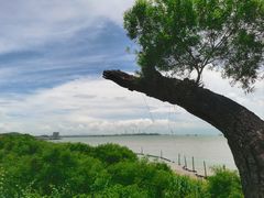 -威远炮台
