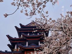 -西园戒幢律寺