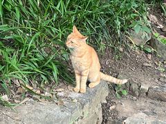 -狼山风景名胜区