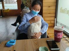 -猫的茶·猫咖