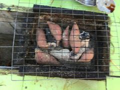 android_upload_pic-小象钓虾·营地烧烤(洛溪店)