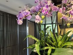 -花锦堂·隐庐