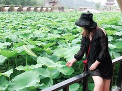 -渭南桃花源民俗文化园