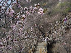 -大岭沟猕猴桃谷风景区