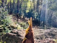 -会稽山峡洞漂流-上青古道