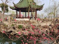 -无锡蠡湖国家湿地公园-蠡园