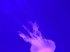 -沈阳海洋探索中心