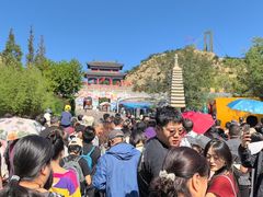 -西霞口神雕山野生动物世界