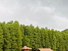 -采石矶景区