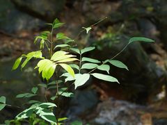 -飞霞风景名胜区