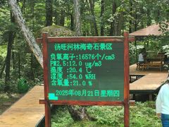 -汤旺河林海奇石景区