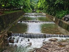 -广州白江湖森林公园