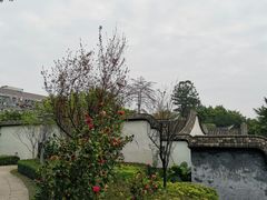 -乌山风景区