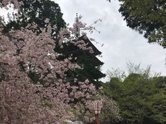 -醍醐寺