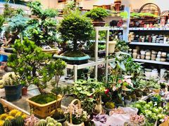 -双季花艺园艺市场(浦东店)