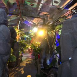 -恐龙探索乐园(磁器口店)