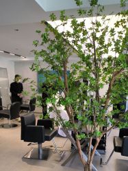 -付军剪艺JF ProSalon