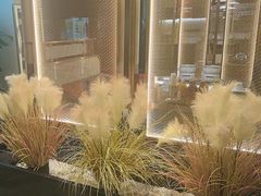 -百草滩羊清水涮羊肉·清真·宁夏盐池滩羊(莲花桥店)