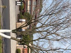 -浙江省博物馆(孤山馆区)