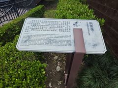 -金山农民画村-枫泾波兰倒置屋