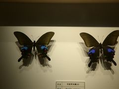 -四川宋瓷博物馆