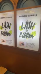 -Browhaus眉睫沙龙