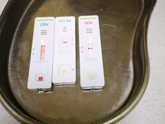 -瑞鹏宠物医院·骨科·猫科·内科(第一中心)