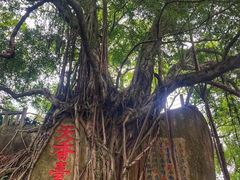-乌山风景区