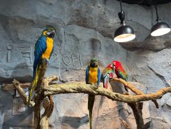 -Zoolung Zoolung动物主题公园(海信广场店)