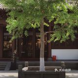 我的秘密基地‼️西湖边有个沒人知道的神仙地‼️