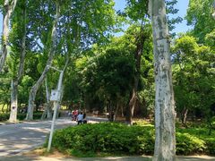 -武汉大学-樱园