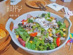 -百好乐宠物友好餐厅(朝外大街店)