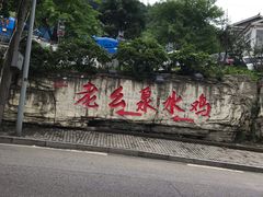 -老幺泉水鸡