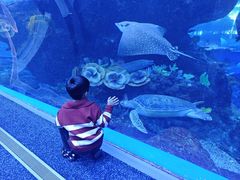 -成都浩海立方海洋公园