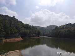 -中山市树木园