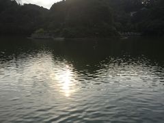 -广州市帽峰山景区
