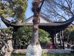 -南京中国近代史遗址博物馆(南京总统府)