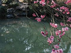 -杭州植物园
