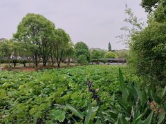 -东坡赤壁风景名胜区