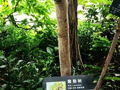 -北京植物园-展览温室
