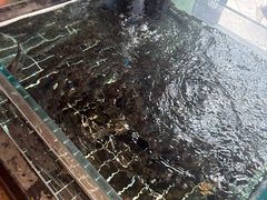 -湘轩·土菜研究院(光大店)