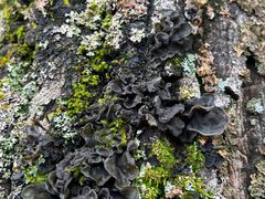 -陕西省红河谷森林公园