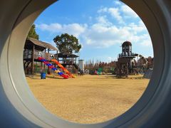 -上海长兴岛郊野公园