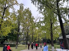 -成都市活水公园