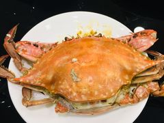 -喜来酌海鲜·饺子(和平一店)