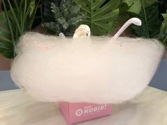 -NOBiBi