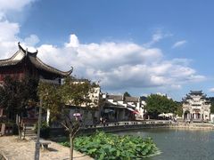-临街徽菜馆·正宗黄山味