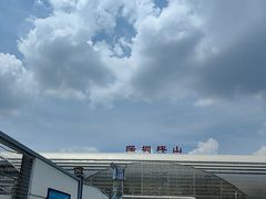 -深圳坪山站