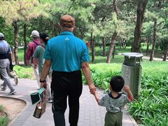 -玲珑塔公园
