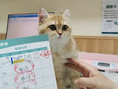 -瑞派宠物医院·24h·骨外科·皮肤科·全科宠物医疗转诊中心(沈阳浑南院)